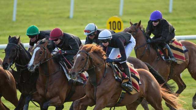 Australia (near side) has contracted notably in the betting for the opening Classic of the season in the last week