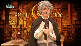 The Curious World of Professor Fun and Dr. Dull