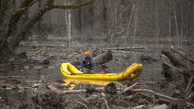 Search teams have been combing the area in search of survivors Search teams have been combing the area in search of survivors