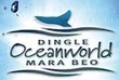 Penguins in love in Dingle