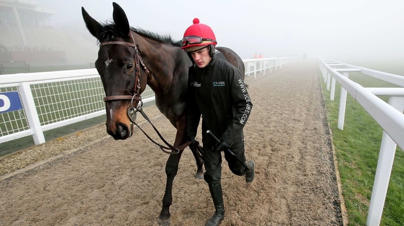 Paul Townend will ride Adriana Des Mottes for Willie Mullins