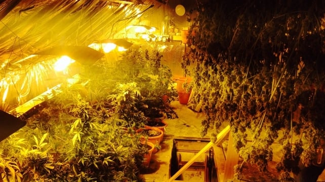 Gardaí found a sophisticated grow house at the Dangan home Gardaí found a sophisticated grow house at the Dangan home