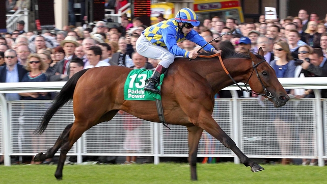 An Saighdiur may run the Group Two on Champions Days
