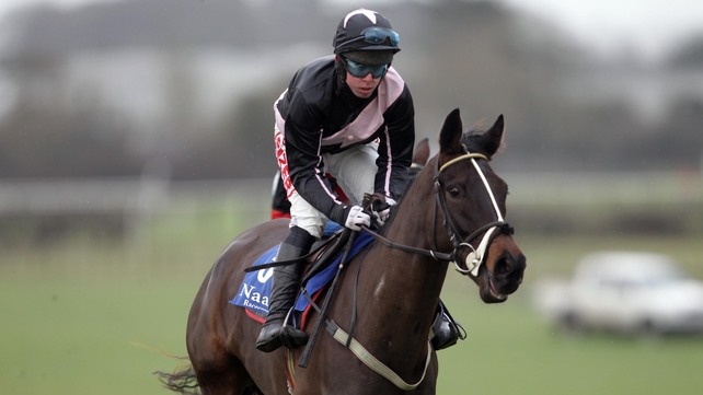 Ludo Et Emergo came home first in the Irish Stallion Farms EBF Beginners Chase