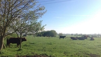 Tax measures to support young farmers Tax measures to support young farmers