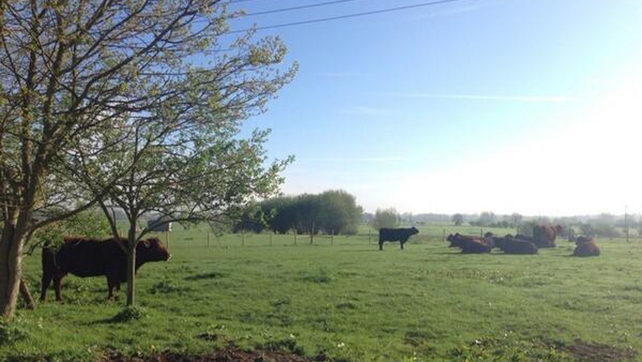 Beef farmers can avail of a payment for providing bovine genetic samples to a new database Beef farmers can avail of a payment for providing bovine genetic samples to a new database