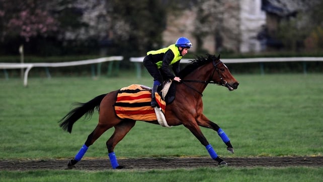 Ryan Powell works Lucky Kristale on the Long Hill Gallop in Newmarket