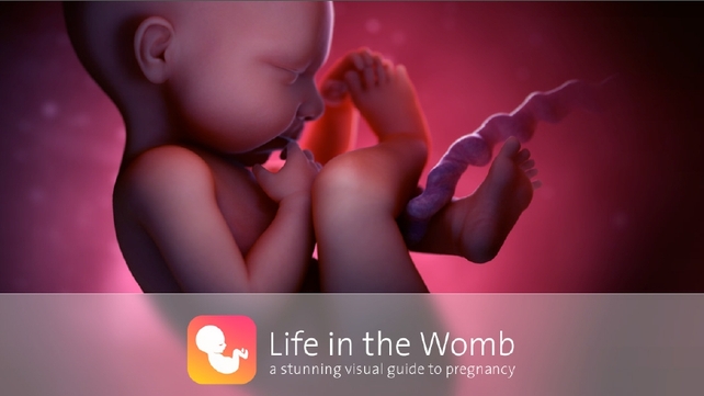 Life in the Womb was developed in Dublin Life in the Womb was developed in Dublin