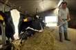 Sustainable Farming