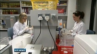 Six One News: More virulent strains of MRSA circulating in Irish hospitals Six One News: More virulent strains of MRSA circulating in Irish hospitals