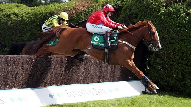 Sire De Grugy leads Pepite Rose home at Sandown