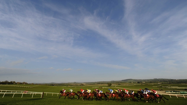 RaceBets inserted Kool Kompany into the betting for the Coventry Stakes as a 7-1 chance