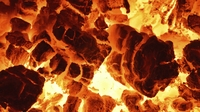 Carbon tax pushes up coal and briquette prices Carbon tax pushes up coal and briquette prices