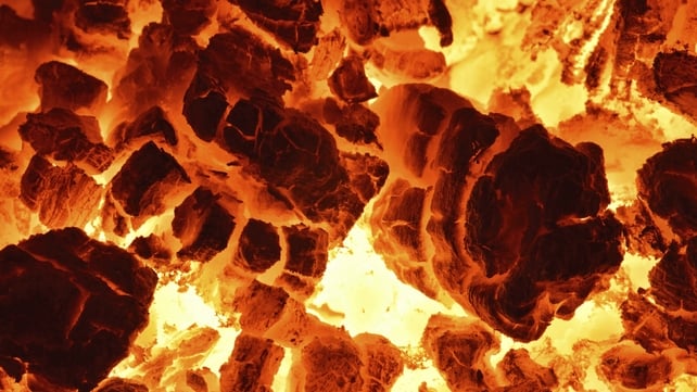 The price rises are the result of the Solid Fuel Carbon Tax The price rises are the result of the Solid Fuel Carbon Tax
