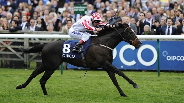 Sole Power