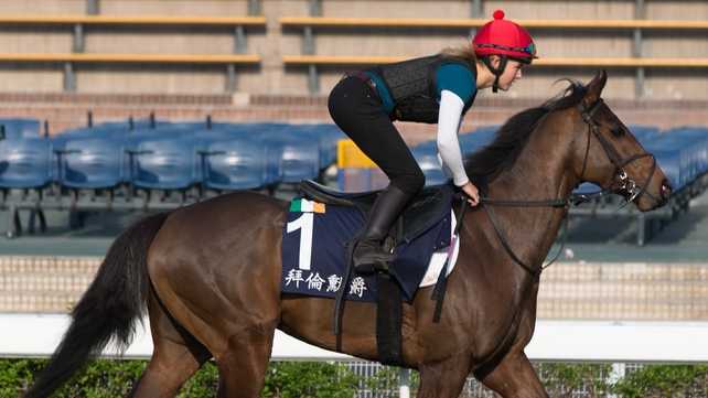 Gordon Lord Byron during a trackwork Session at Sha Tin racecourse in December - the horse could not find victory at the venue in the Champions Mile
