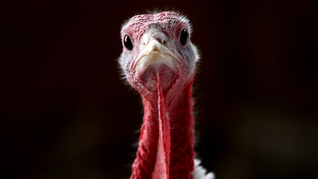 Animal rights activists have appealed the decision Animal rights activists have appealed the decision