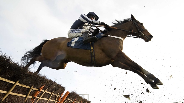 Denis O'Regan: 'I look forward to riding for John again in the future, if called upon'