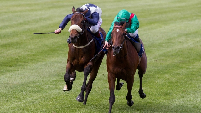 Fascinating Rock (far side) was promoted to first in the Derrinstown Stud Derby Trial following a protracted stewards' inquiry at Leopardstown