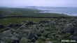 Denis Ó hAnluain, Coiste Forbartha an Mhachaire.
