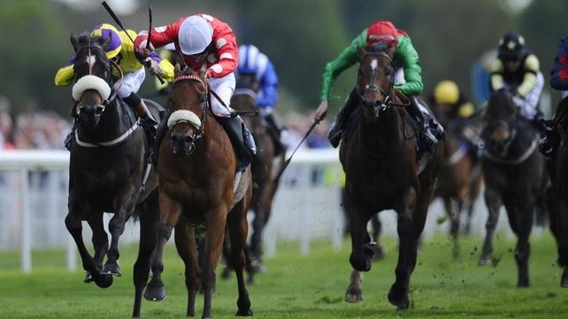 The progressive Maarek relished the give in the ground (going stick 6.6) at York