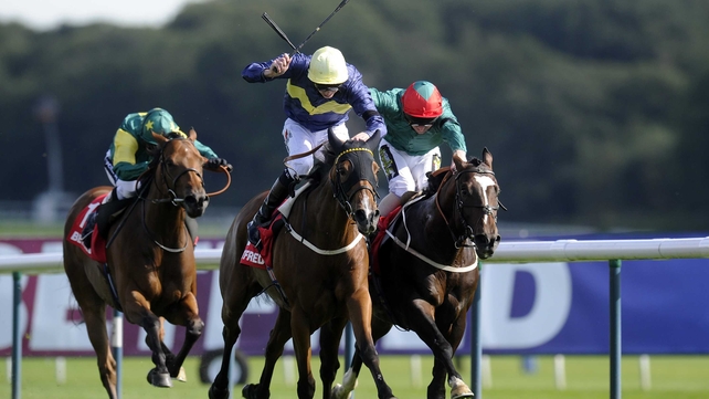 Thistle Bird will be partnered by Frankie Dettori for the first time in the Middleton Stakes