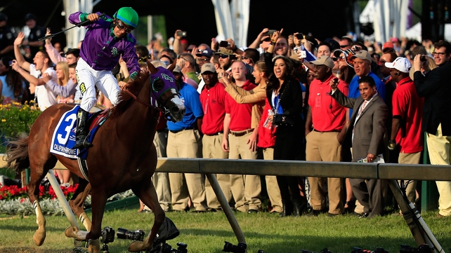 Victor Espinoza celebrates atop California Chrome No 3 after winning the 139th running of the Preakness Stakes at Pimlico race course
