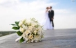 Wedding Invites