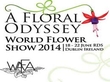 Orla McGrane - floral displays