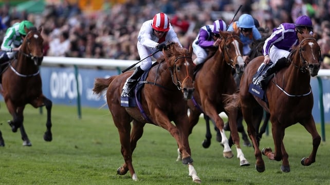 Night Of Thunder has yet to race beyond a mile