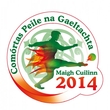 Charlie Ó Domhnaill, CLG Cill Chartha Paddy J Mac Fhionnghaile CLG N. Columba agus Rosie Nic Gairbheith CLG N.Muire.