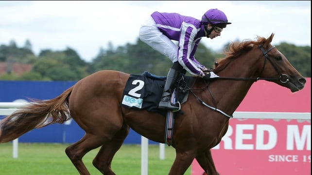 Australia is one of four runners for Aidan O'Brien