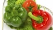 Health Food Entrepreneurs