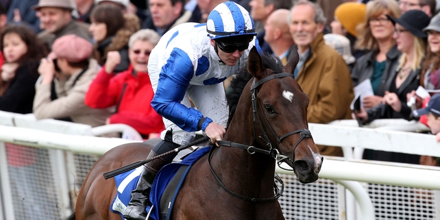Unbeaten colt Cappella Sansevero heads for Group Two contest at Royal Ascot