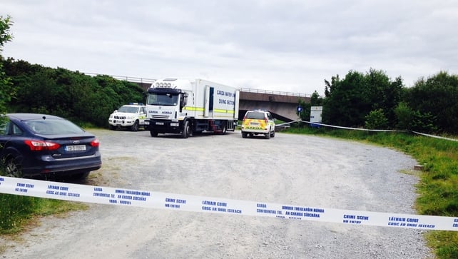 Gardaí are investigating the murder of Patryk Krupa last June Gardaí are investigating the murder of Patryk Krupa last June