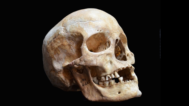 Skulls are said to be 'in demand abroad by people who practice santeria' Skulls are said to be 'in demand abroad by people who practice santeria'