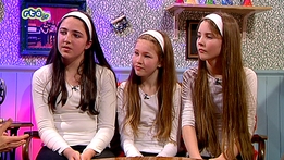 The Beo Show