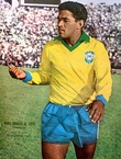 Brazil and the World Cup