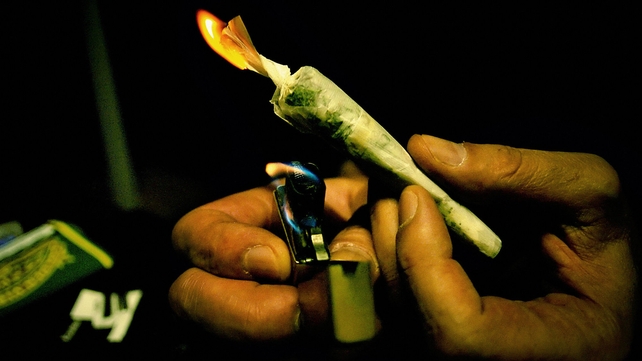 28% of young Irish people have used cannabis in the past year 28% of young Irish people have used cannabis in the past year