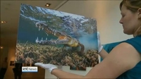 Six One News: Wildlife photography exhibition in Dublin Six One News: Wildlife photography exhibition in Dublin