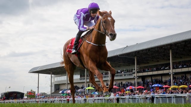 The Irish Derby field which Australia demolished was the smallest since 1912
