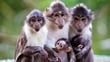Dublin Zoo