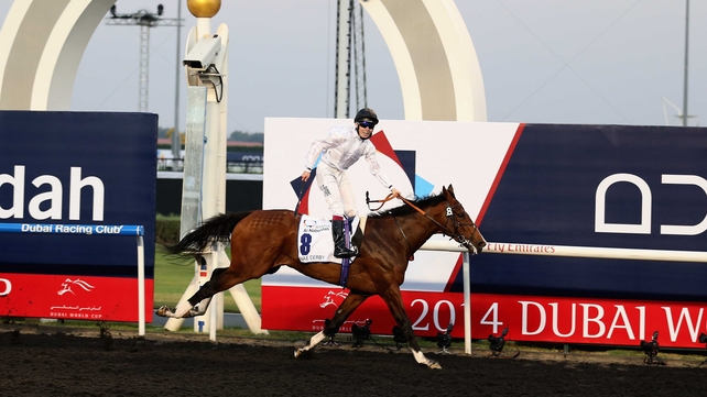 Toast Of New York has been installed as the 3-1 morning-line favourite for the Belmont Derby