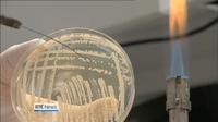 One News: €23m in Government funding for Science Foundation Ireland schemes One News: €23m in Government funding for Science Foundation Ireland schemes