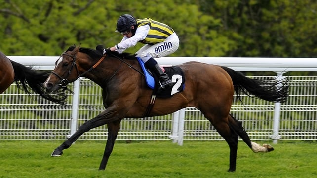 Contributer has been sold to Sheikh Mohammed's Darley