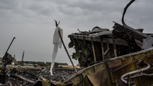 The Malaysia Airlines flight exploded over insurgent-held east Ukraine on 17 July, killing all 298 on board The Malaysia Airlines flight exploded over insurgent-held east Ukraine on 17 July, killing all 298 on board