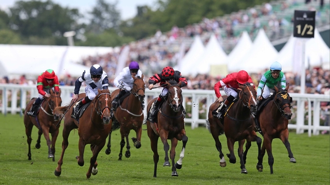Newsletter finished behind Anthem Alexander and Tiggy Wiggy at Royal Ascot