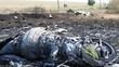 Malaysia Airline Flight 17