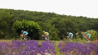 An Tour de France gan buaiteoir 2014? An Tour de France gan buaiteoir 2014?