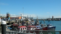 Report shows fisherman died of head injuries Report shows fisherman died of head injuries